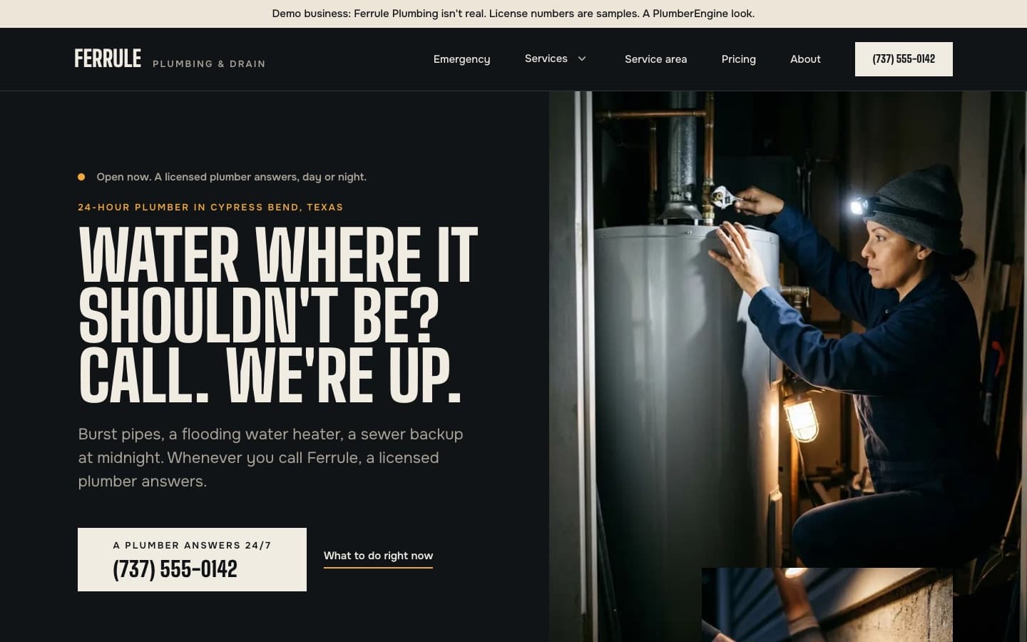 Dispatch: the home page of a demo website for Ferrule Plumbing & Drain, a fictitious 24/7 emergency plumbing company